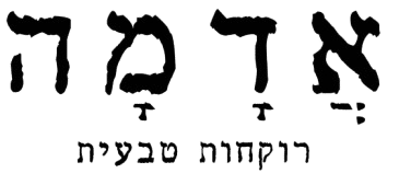 לוגו